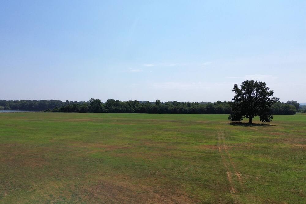 Photo of Others in Morrilton
