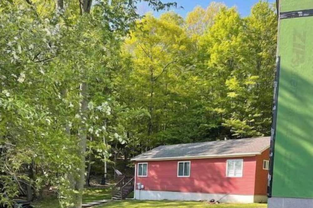 Photo of Outdoor in Theresa