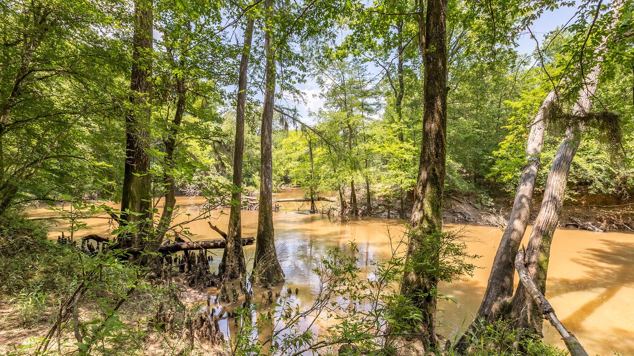 Photo of Outdoor in Fred