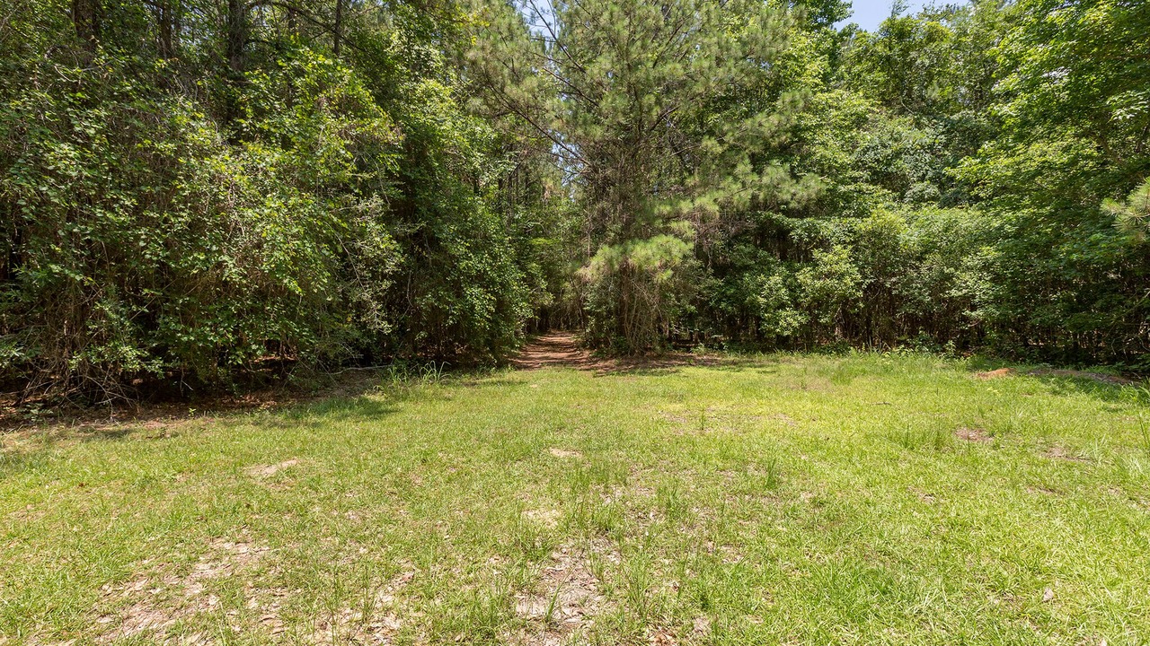 Photo of Outdoor in Fred