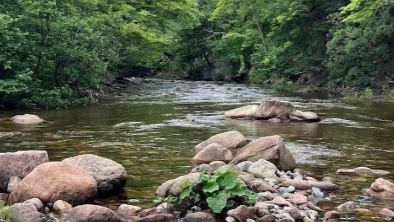 Photo of Outdoor in Red River