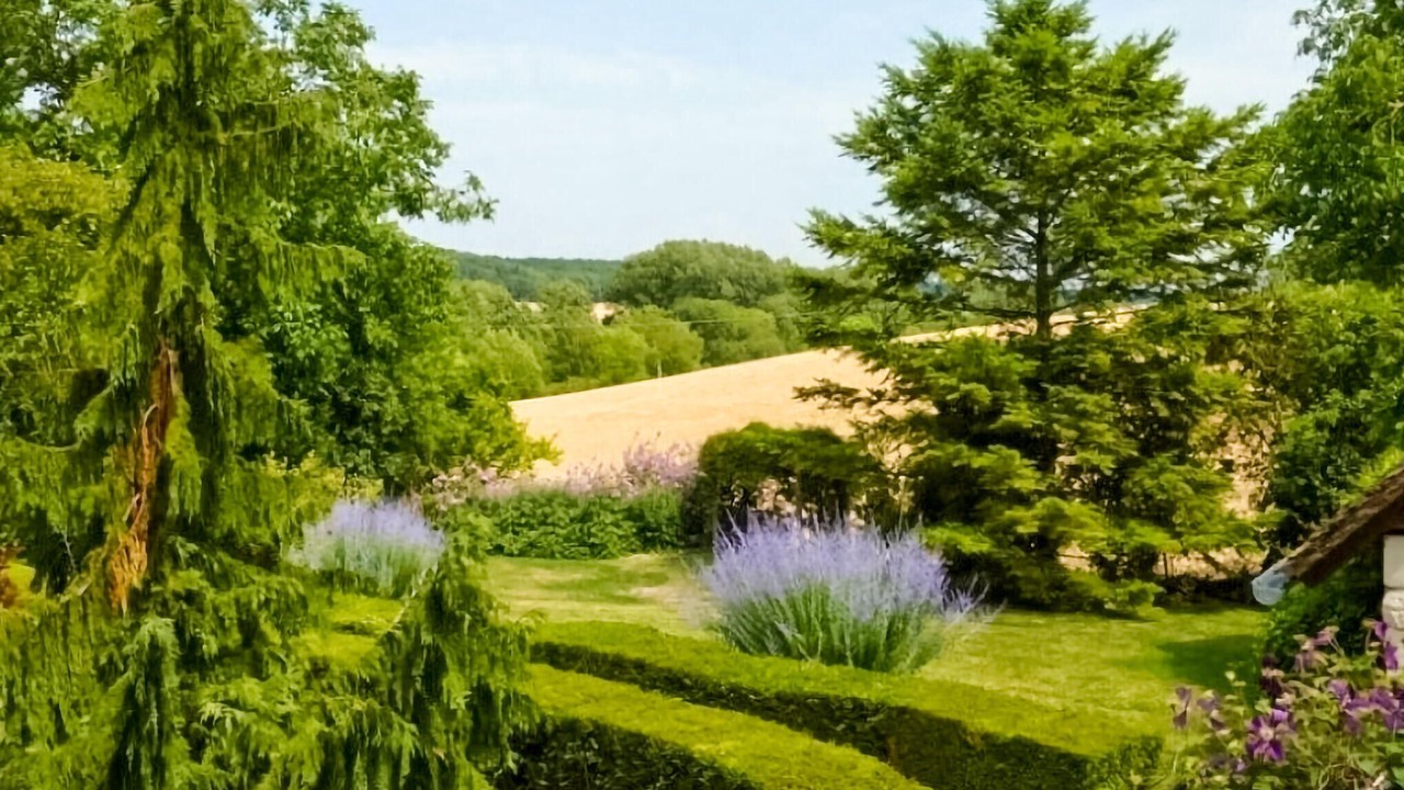 Photo of Outdoor in Chaumussay