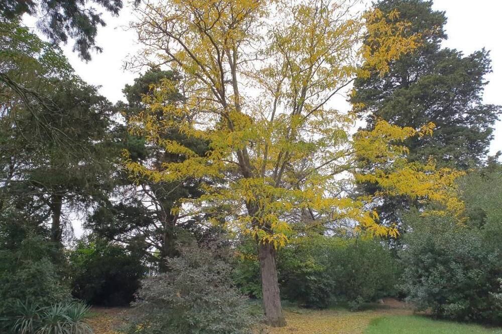 Photo of Outdoor in Villalbe