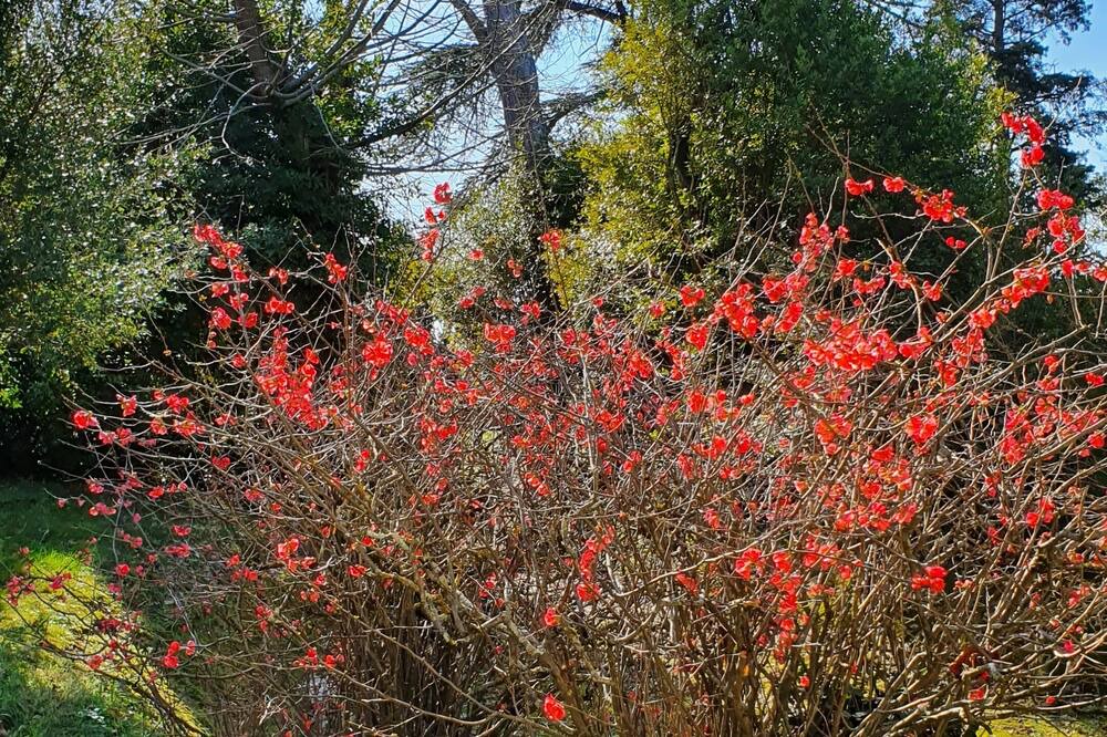 Photo of Outdoor in Villalbe