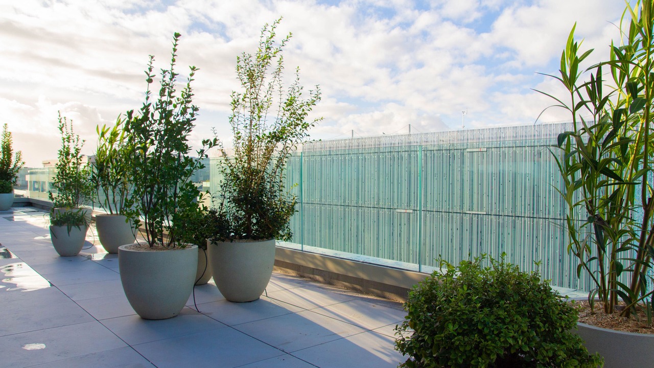 Photo of Others in Madeleine-Champ de Mars