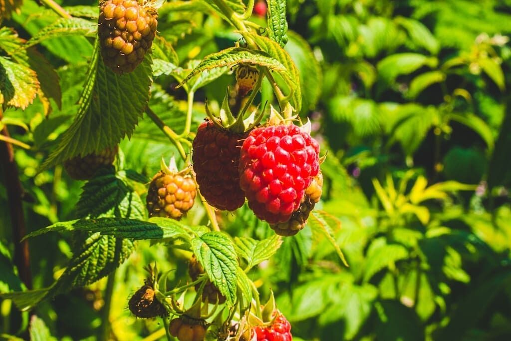 Photo of Others in Monks Eleigh