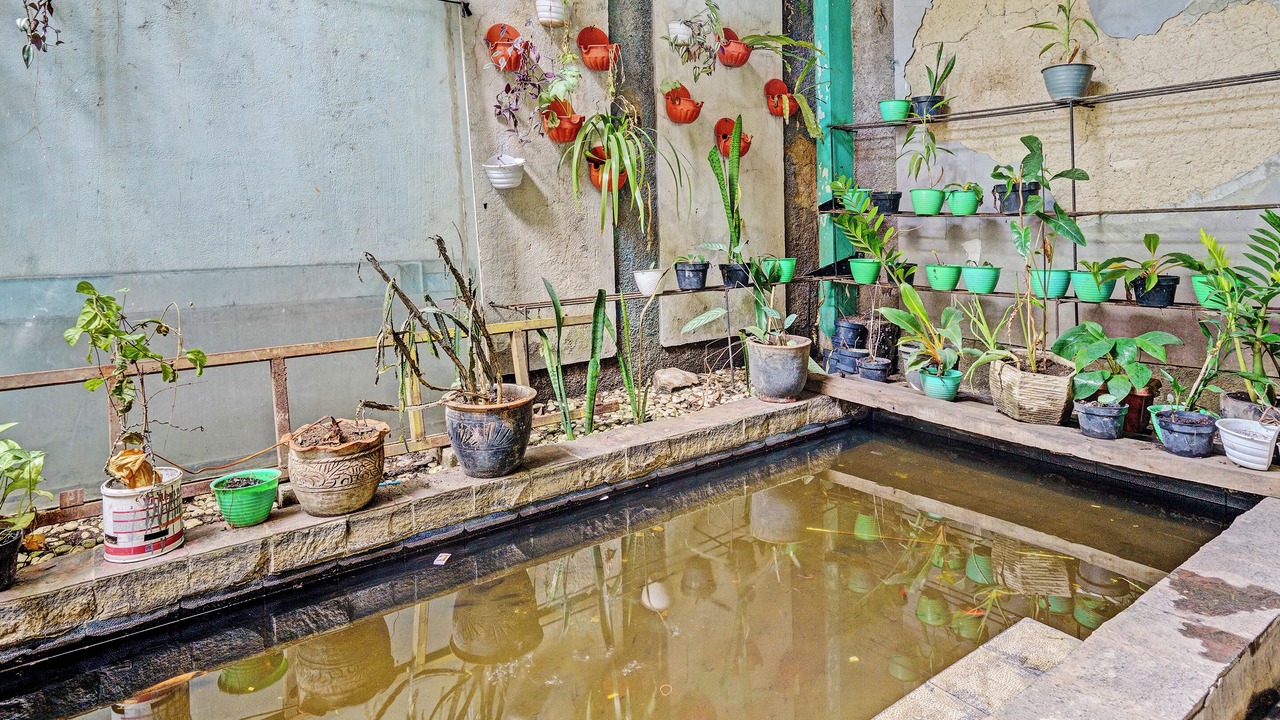 Photo of Outdoor in Ngamprah