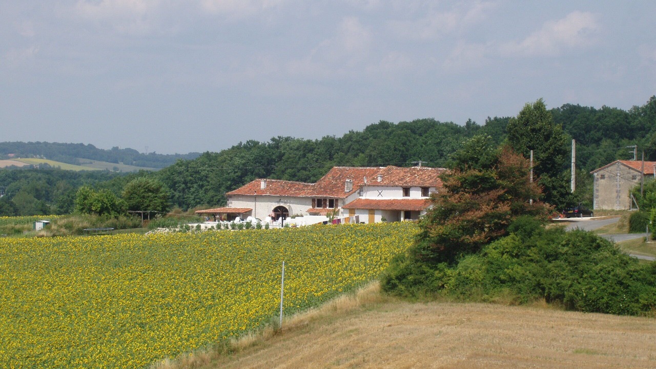 Photo of Outdoor in Boisne-la-Tude