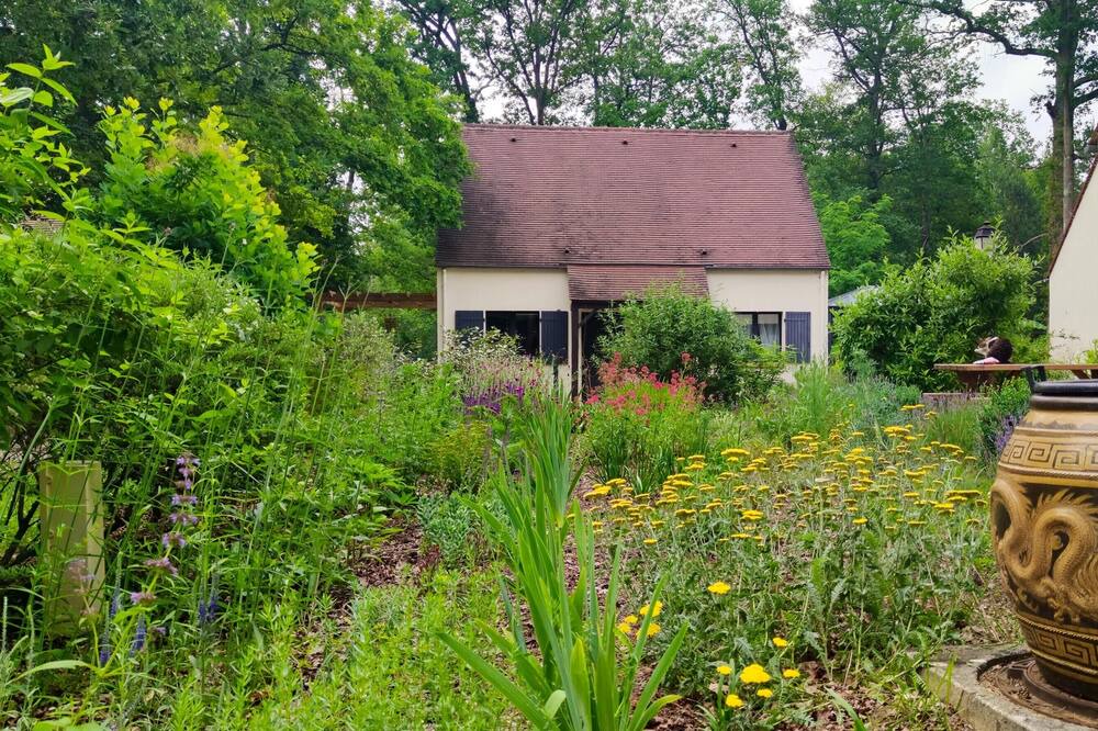 Photo of Others in Arbonne-la-Foret