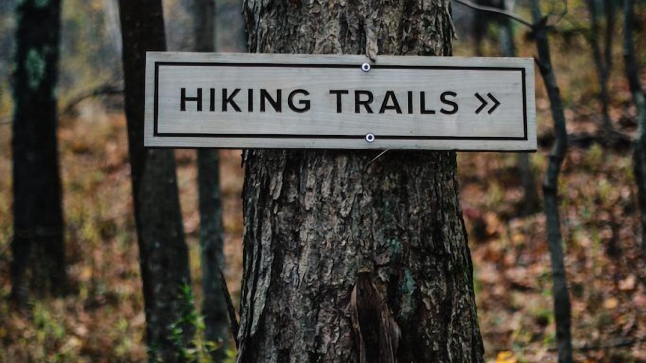 Photo of Outdoor in Haines Falls