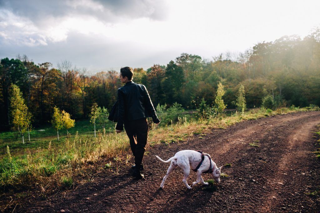 Photo of Outdoor in Haines Falls