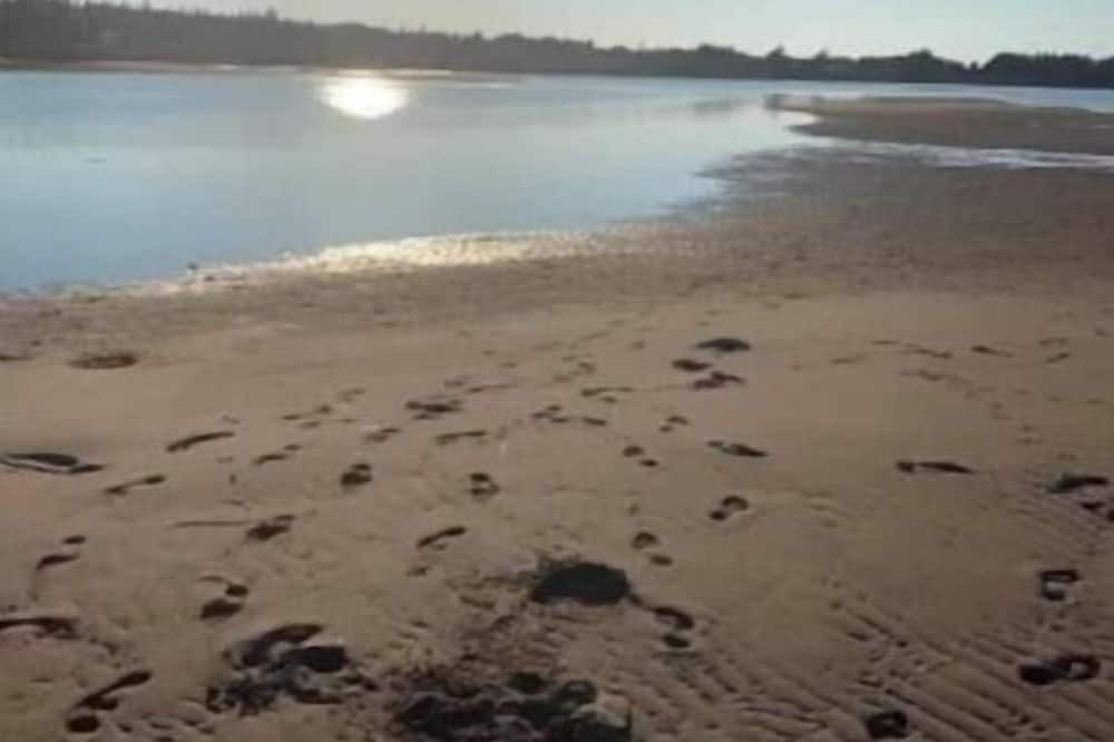 Photo of Others in Shemogue