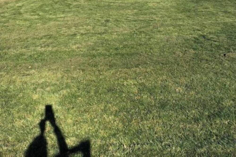 Photo of Others in Pine Hollow