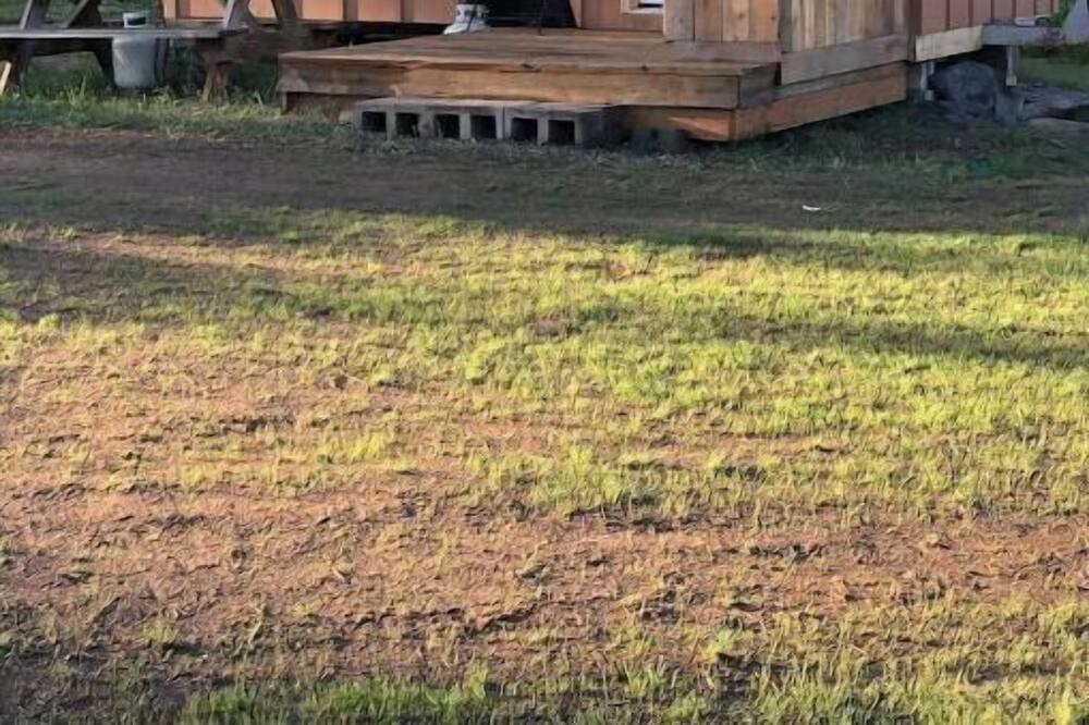 Photo of Outdoor in Pine Hollow