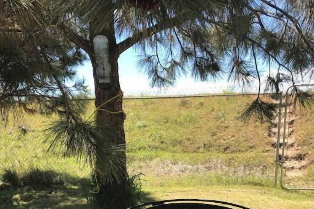 Photo of Outdoor in Pine Hollow