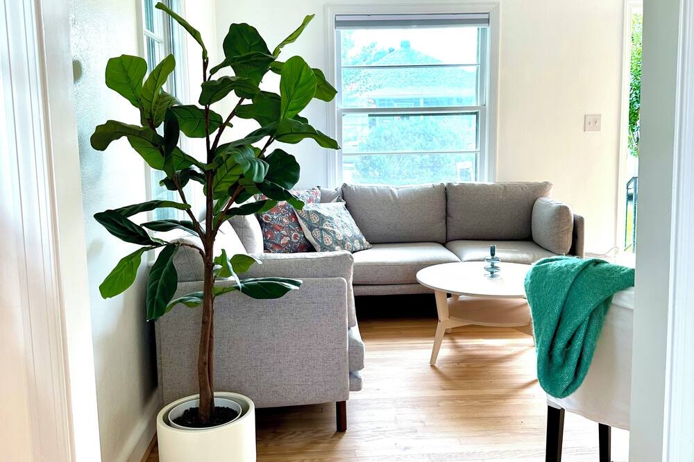 Photo of Livingroom in Ridge St.