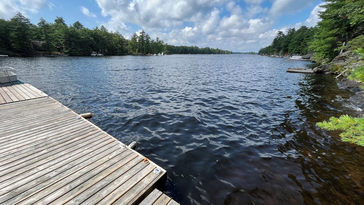 Photo of Others in Gravenhurst