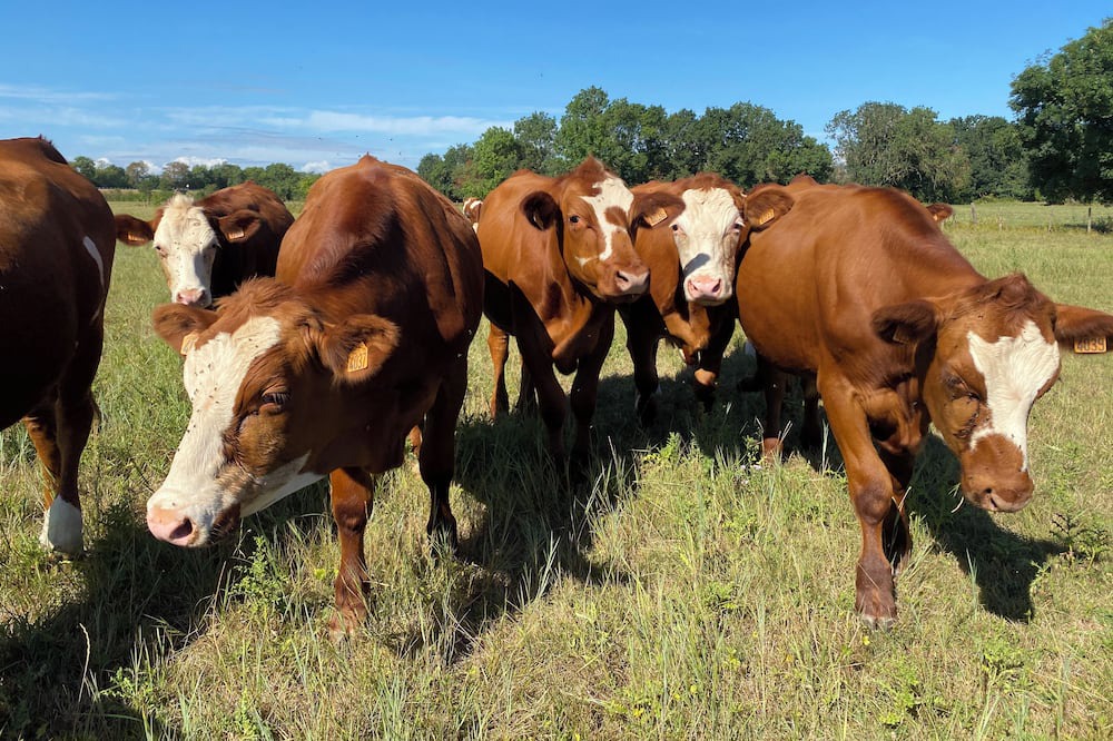 Photo of Outdoor in Chivres