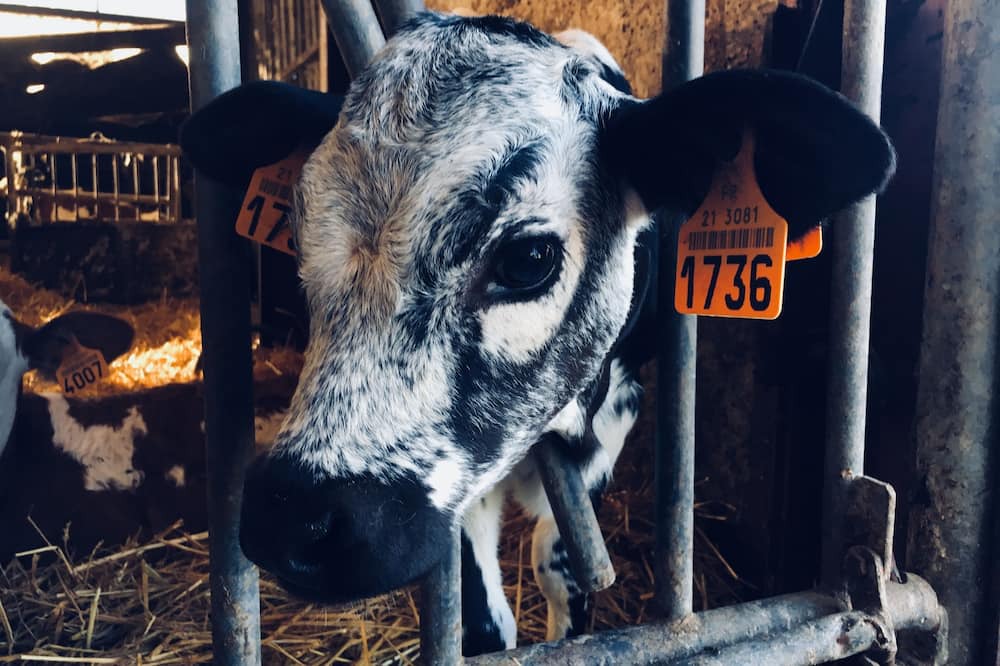 Photo of Others in Chivres