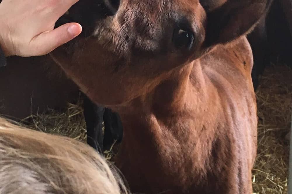 Photo of Others in Chivres