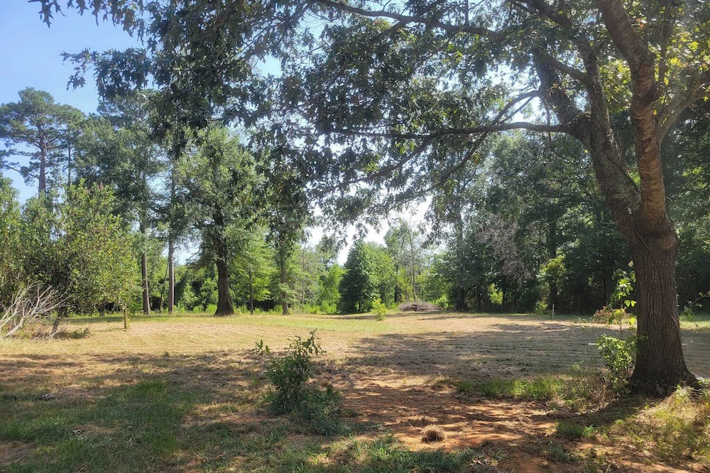 Photo of Outdoor in San Augustine