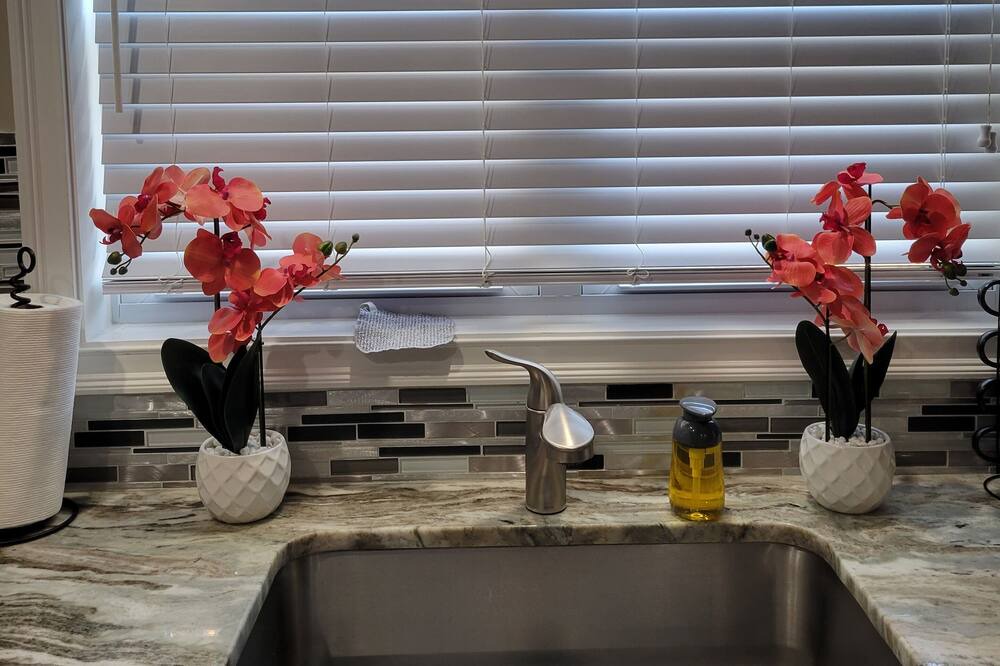 Photo of Others in Waterbury