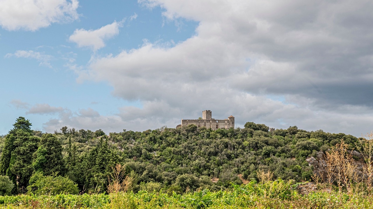 Photo of Outdoor in Tornac