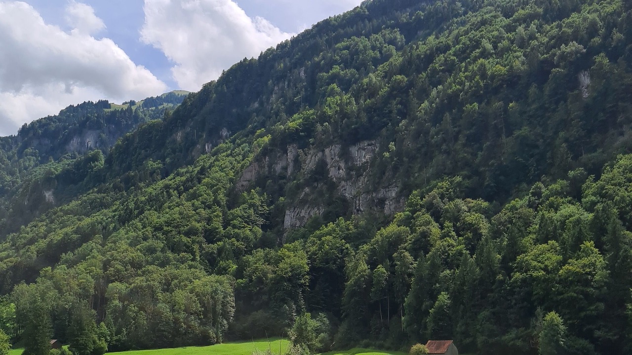 Photo of Outdoor in Saint Georgen Ot Brigach