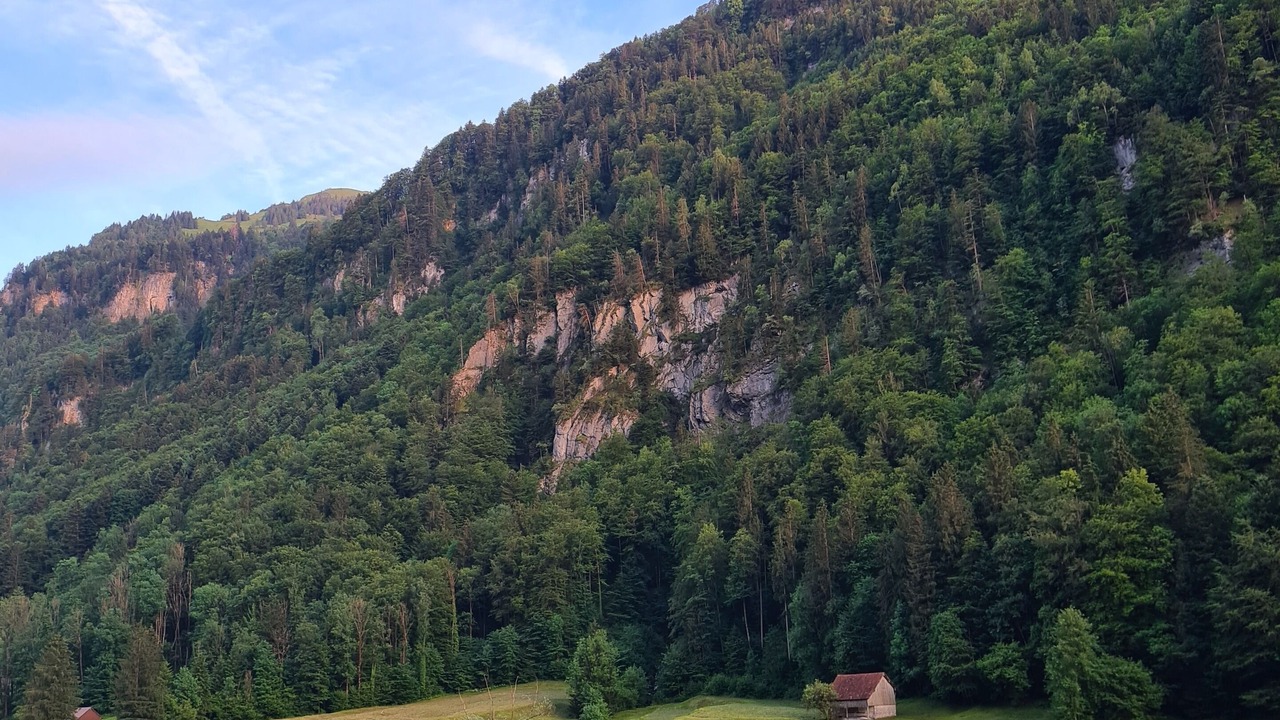 Photo of Outdoor in Saint Georgen Ot Brigach