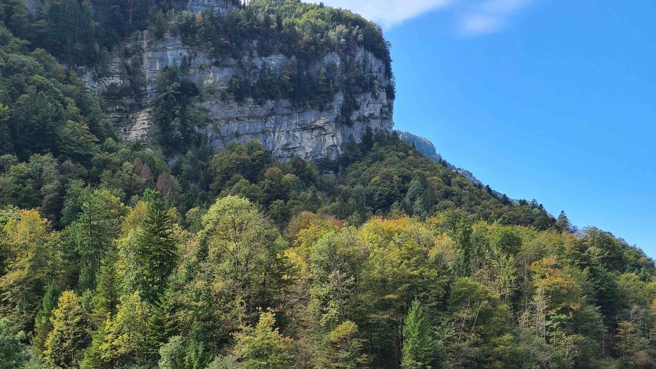 Photo of Others in Saint Georgen Ot Brigach