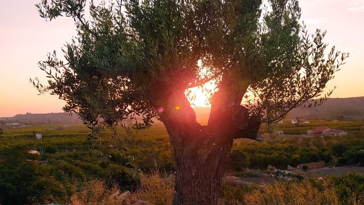 Photo of Outdoor in Calanda