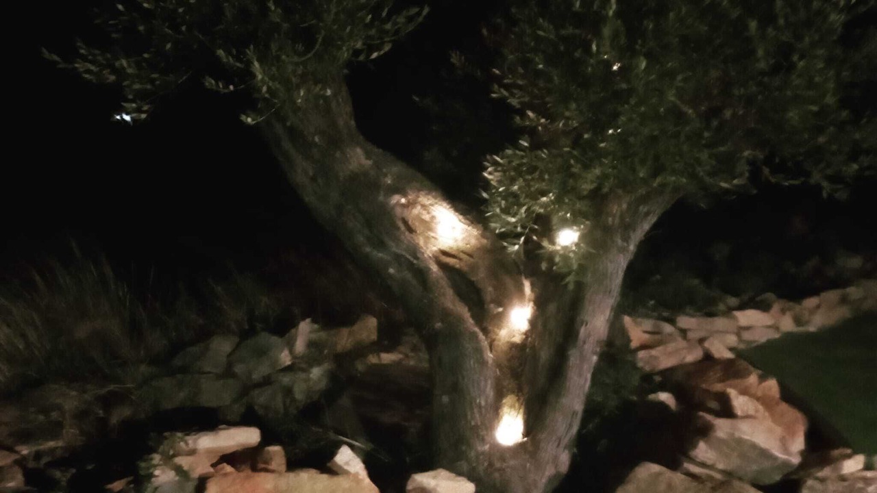 Photo of Outdoor in Calanda