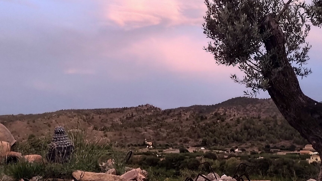 Photo of Outdoor in Calanda