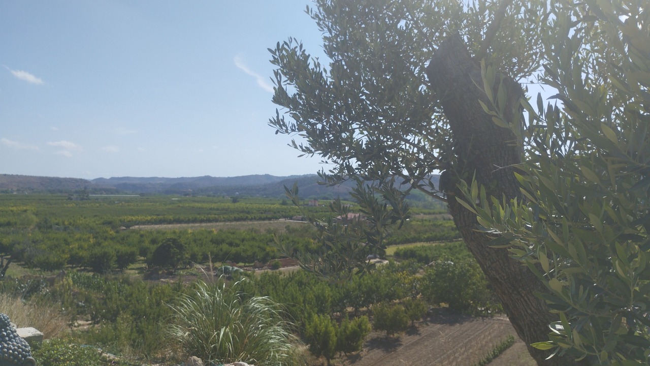 Photo of Outdoor in Calanda