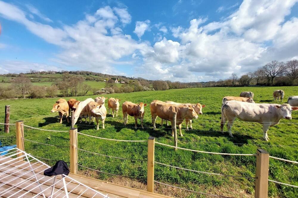 Photo of Outdoor in Dozule