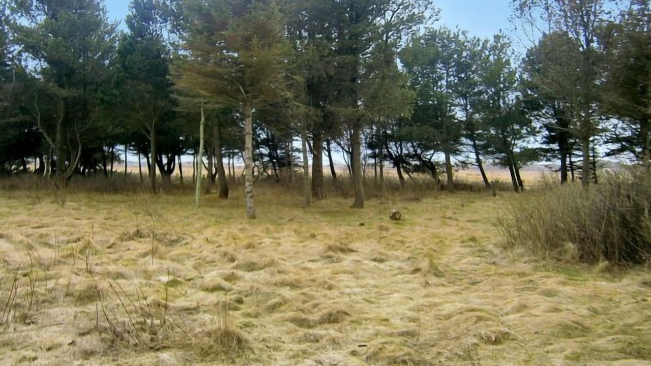 Photo of Outdoor in Kandestederne