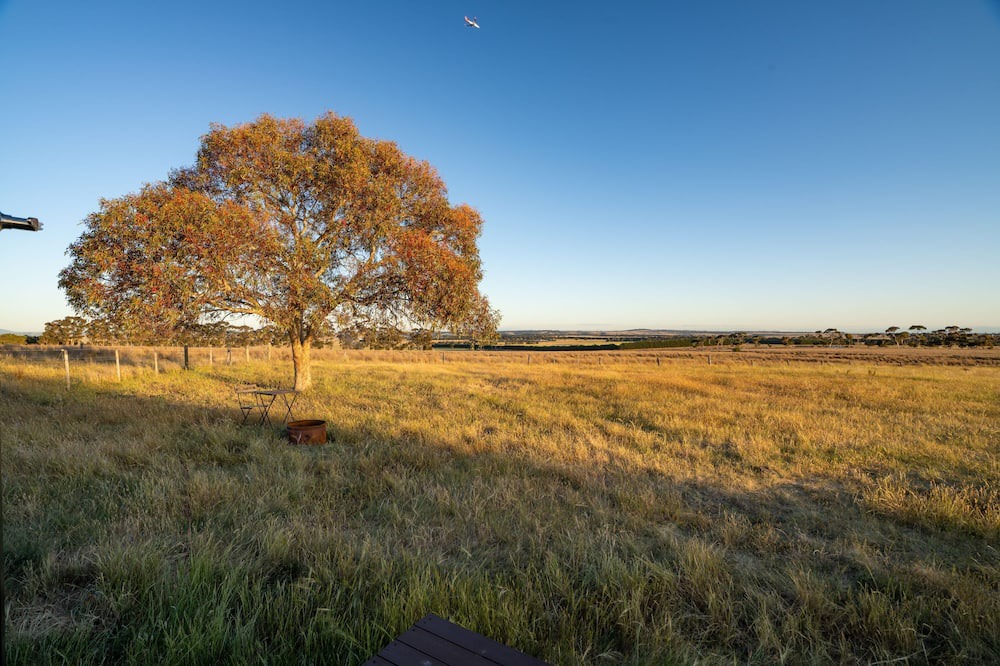 Photo of Others in Clarkefield