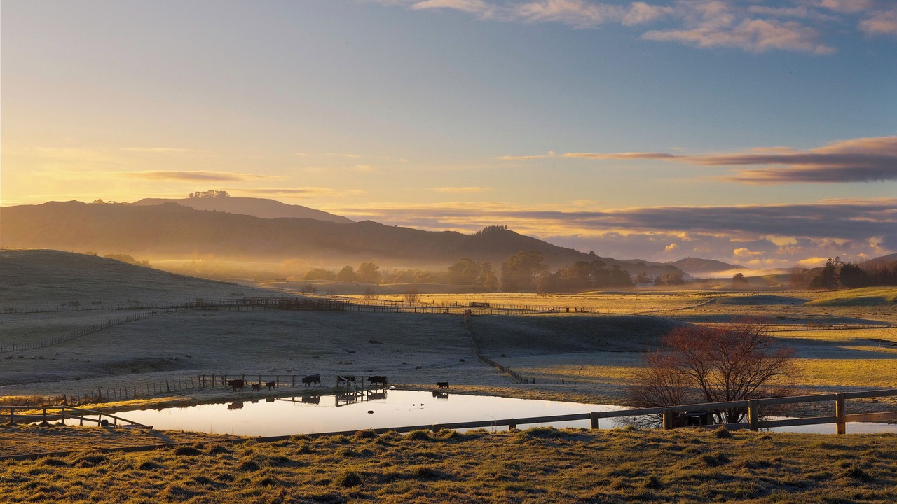 Photo of Others in Elsthorpe