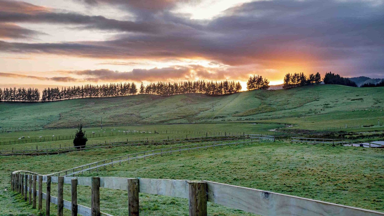 Photo of Others in Elsthorpe