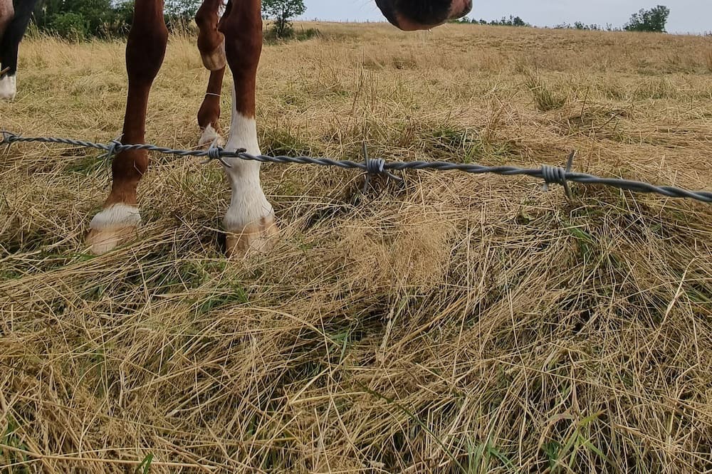 Photo of Outdoor in Villefontaine