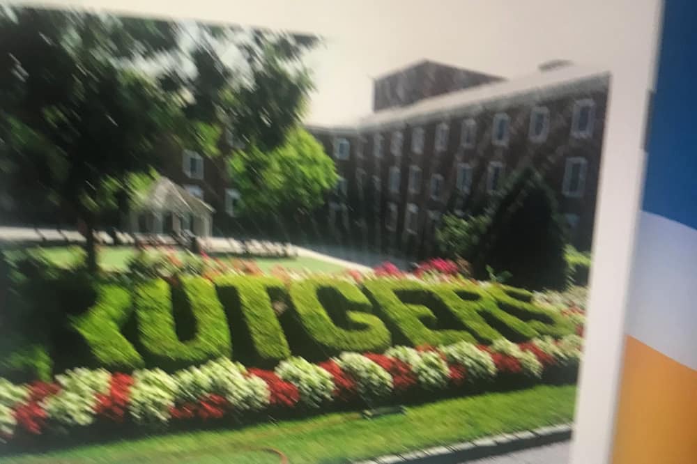 Photo of Others in New Brunswick