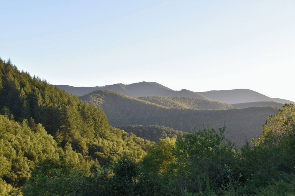 Photo of Outdoor in Castelnau-Durban