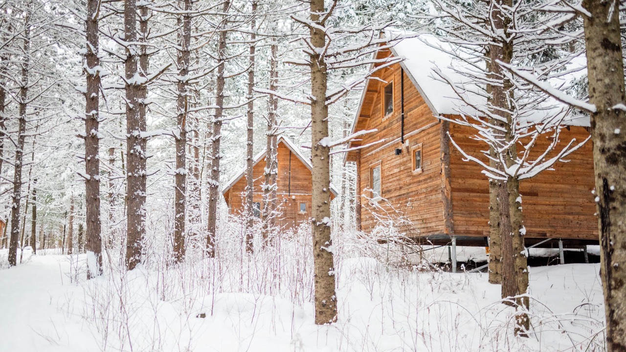 Photo of Outdoor in Conway