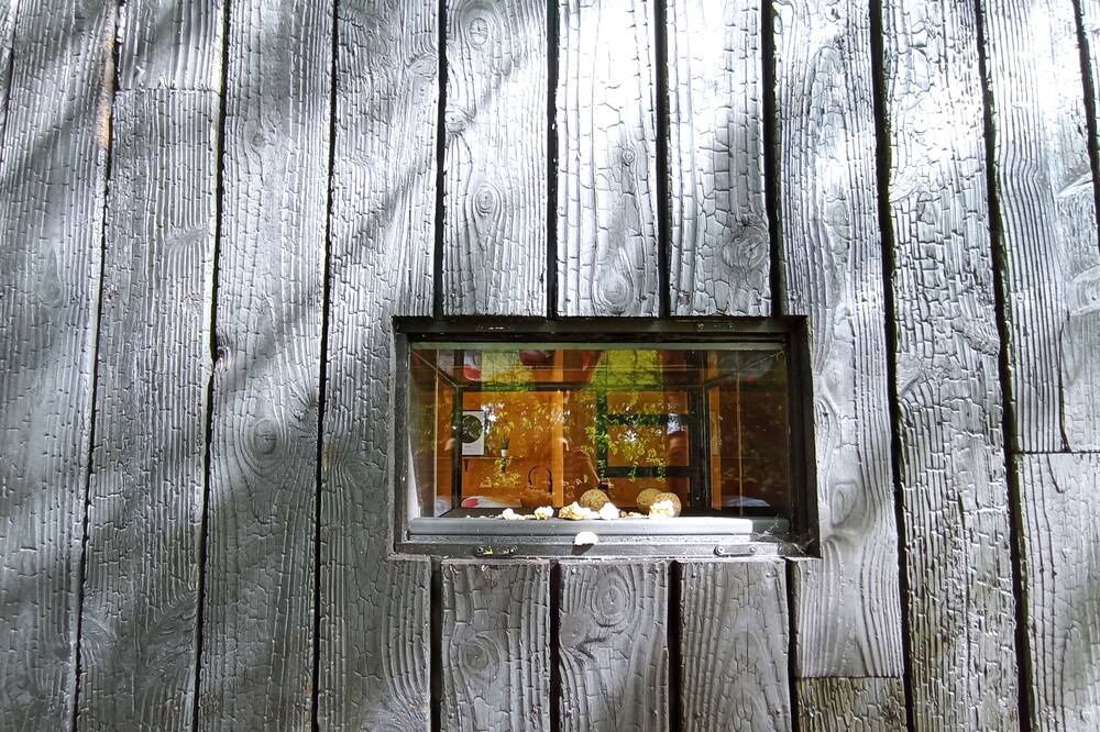 Photo of Others in Willems