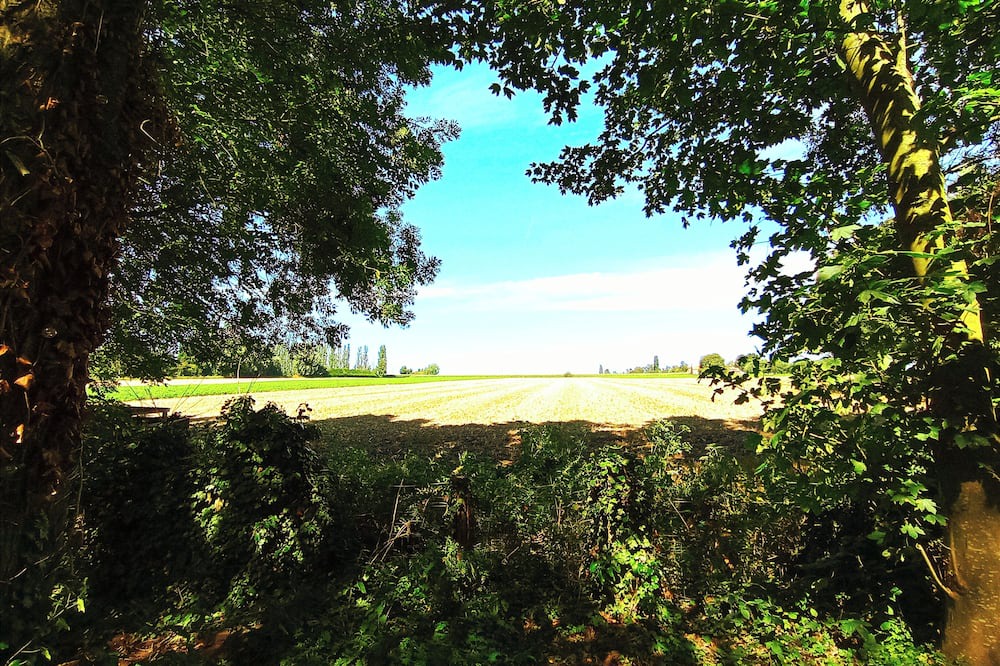 Photo of Outdoor in Willems