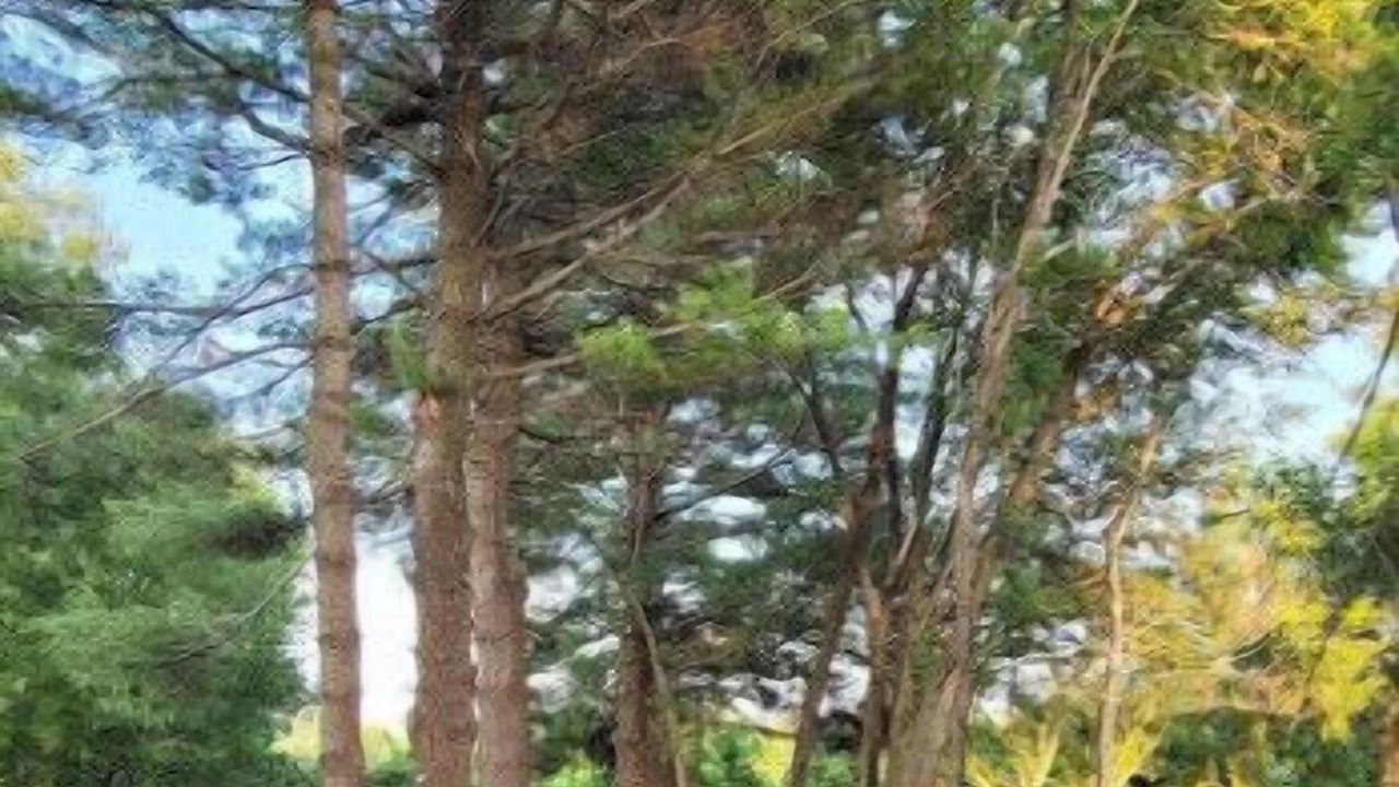 Photo of Outdoor in Pleasant Hill