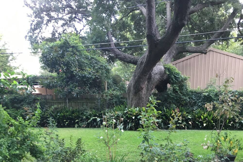Photo of Outdoor in Broadmoor