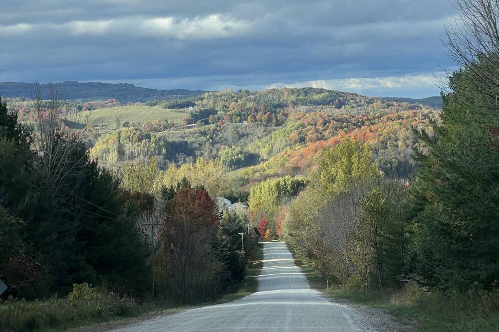 Photo of Others in Creemore