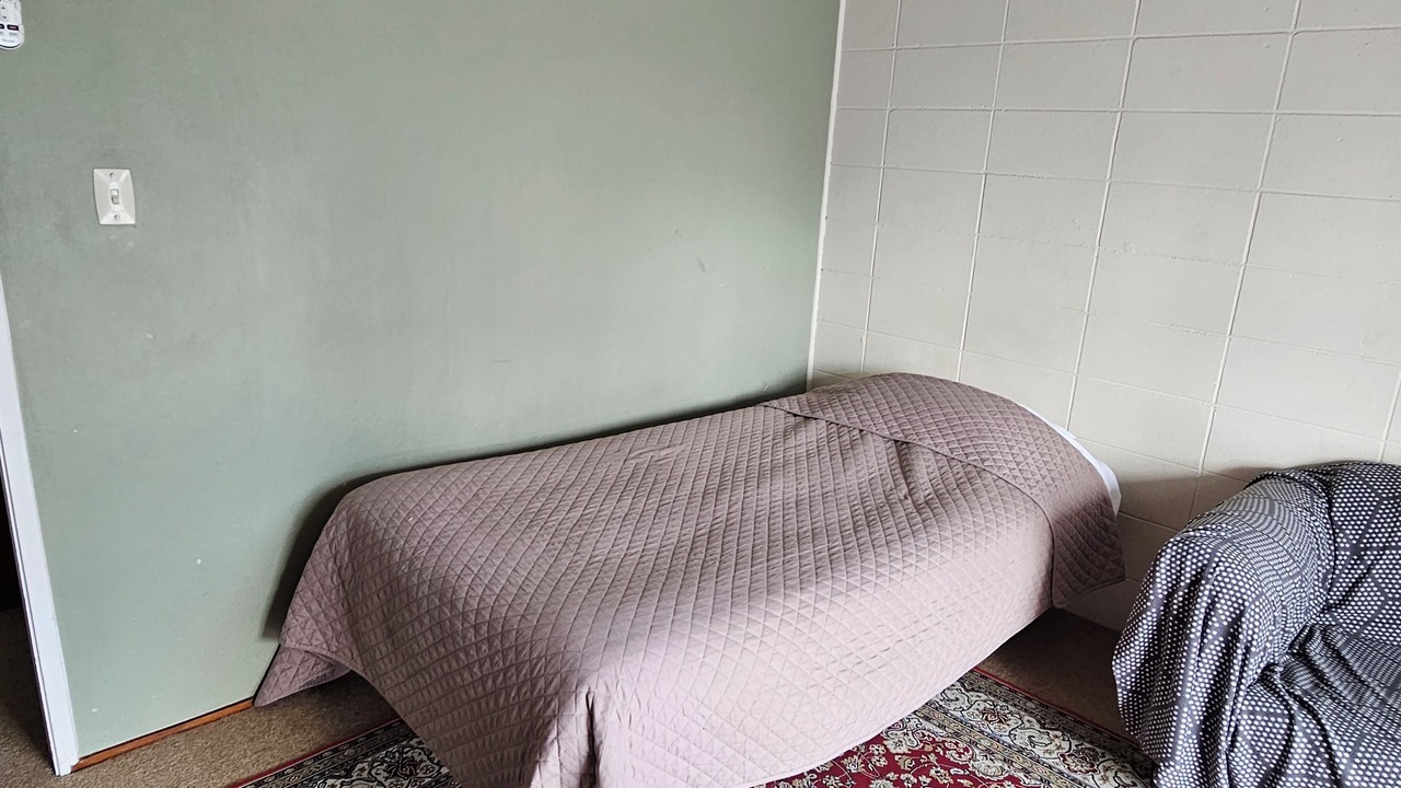 Photo of Outdoor in Tokoroa