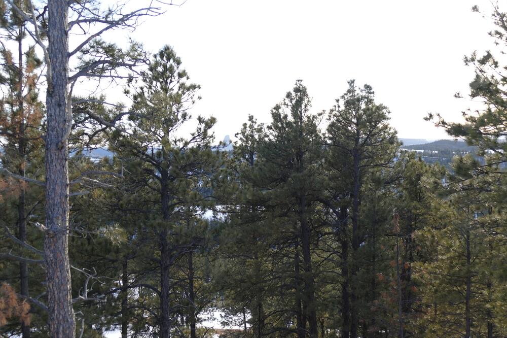 Photo of Others in Hulett